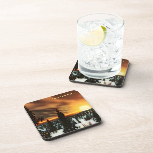 タイガサン コースター (右側)