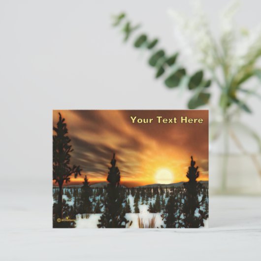 タイガサン ポストカード (スタンド正面)