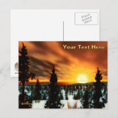 タイガサン ポストカード (正面/裏面)