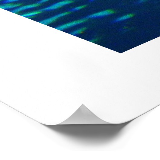 タイガザメ ポスター (角)