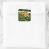 タイガーかわいらしライリズサイドフェンス スクエアシール (バッグ)