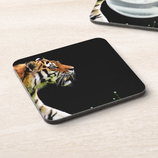タイガーが近づく – 野生動物のアートワーク コースター (左側)