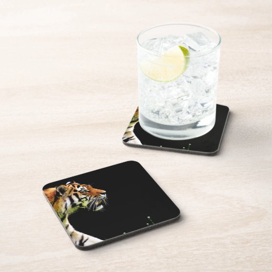 タイガーが近づく – 野生動物のアートワーク コースター (右側)