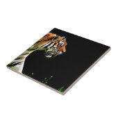 タイガーが近づく – 野生動物のアートワーク タイル (側面)