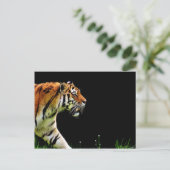 タイガーが近づく – 野生動物のアートワーク ポストカード (スタンド正面)