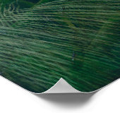 タイガーとバッファローの戦い、アンリ・ルソー ポスター (角)