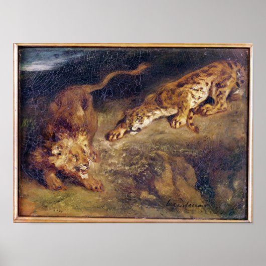 タイガーとライオン ポスター (正面)