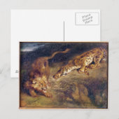 タイガーとライオン ポストカード (正面/裏面)