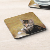 タイガーに会う コースター (左側)