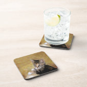 タイガーに会う コースター (右側)