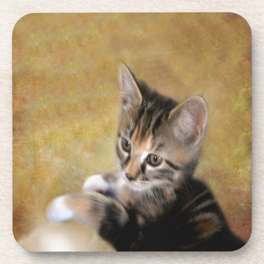 タイガーに会う コースター (正面)