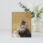 タイガーに会う ポストカード (スタンド正面)