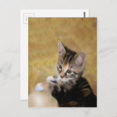 タイガーに会う ポストカード (正面/裏面)