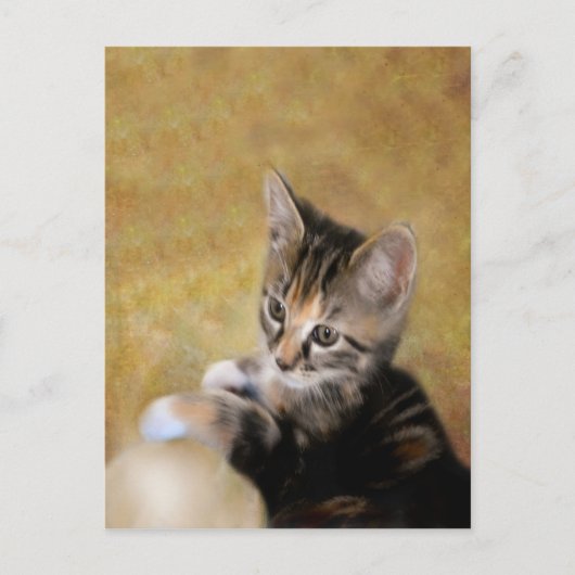 タイガーに会う ポストカード (正面)