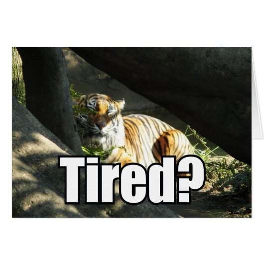 タイガーのキャッチグリーティングカード (正面横)