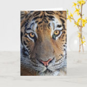 タイガーのクローズアップ カード (黄色い花)