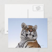 タイガーの低角度ビュー(Panthera tigris) ポストカード (正面/裏面)