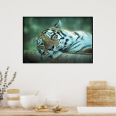 タイガーの敷設 ポスター (キッチン)