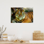 タイガーの見かわいらした ポスター (キッチン)