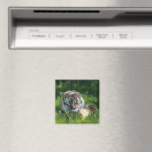 タイガーの轟音 マグネット (インサイチュ (食洗機))