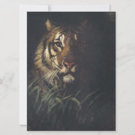 タイガーの頭（Abott Handerson Thayer著） カード