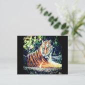 タイガーはがき ポストカード (スタンド正面)