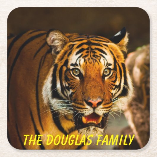 タイガーを閉じる スクエアペーパーコースター (正面)