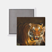 タイガーを閉じる マグネット (正面/裏面)