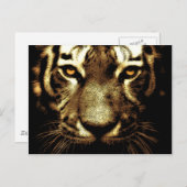 タイガーアイズポストカード ポストカード (正面/裏面)