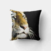 タイガーアイズ クッション (裏面)