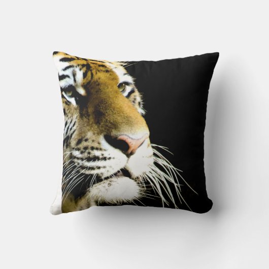 タイガーアイズ クッション (裏面)