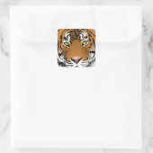 タイガーアイズ スクエアシール (バッグ)