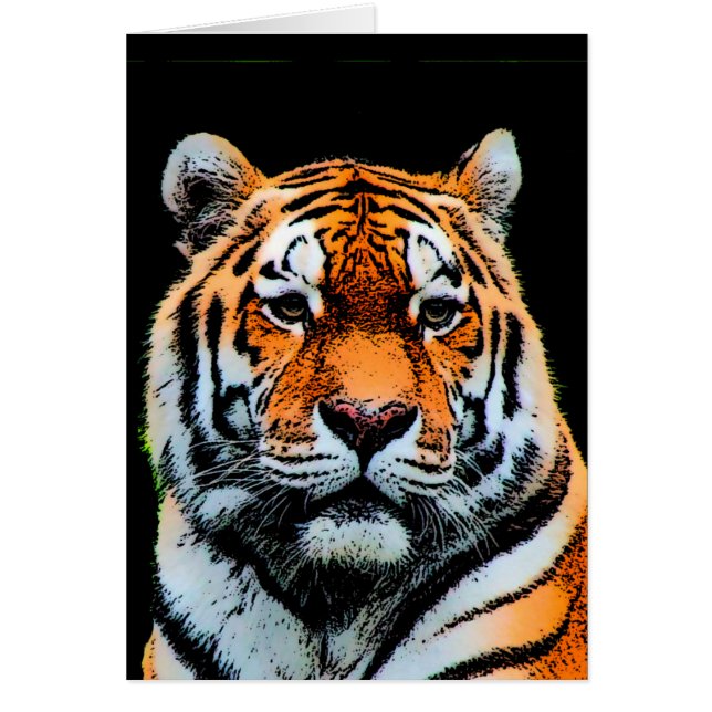 タイガーアイ感動的 (正面)