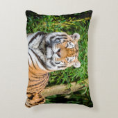 タイガーアクセント枕 アクセントクッション (正面(垂直))
