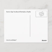 タイガーアゲハチョウオンデイリリー ポストカード (裏面)