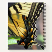 タイガーアゲハチョウバタフライウィング – 8.5 x 11、8.5 ノートブック (裏面)