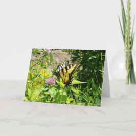 タイガーアゲハチョウバタフライオンクローバー シーズンカード