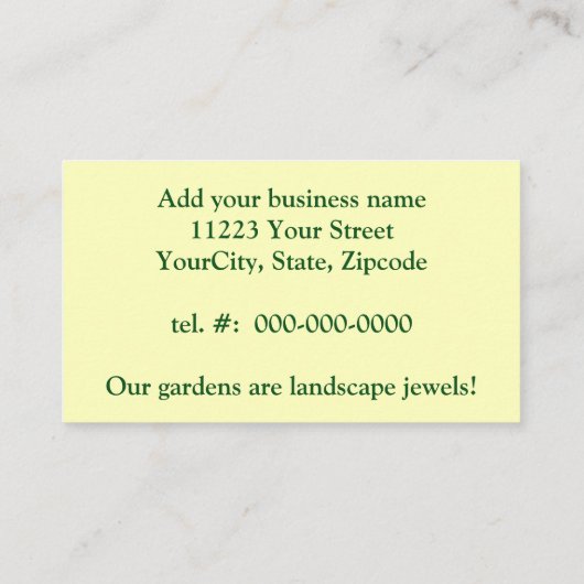 タイガーアゲハチョウバタフライオンフロックスin夏 名刺 (裏面)