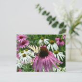 タイガーアゲハチョウバタフライコンフロアーハガキ ポストカード (スタンド正面)