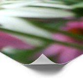 タイガーアゲハチョウバタフライコンフロアーポスター ポスター (角)