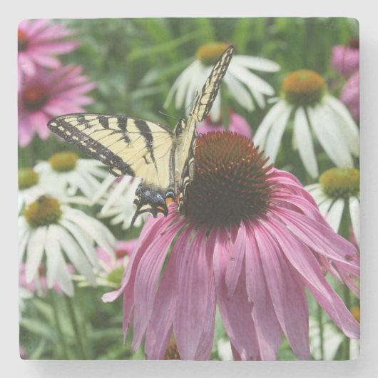 タイガーアゲハチョウバタフライフォーワーストーンコースター ストーンコースター (正面)