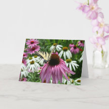 タイガーアゲハチョウバタフライフラワーグリーティングカード