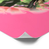 タイガーアゲハチョウポスター ポスター (角)