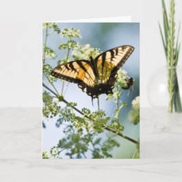 タイガーアゲハチョウマザーズデイカード カード