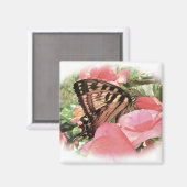 タイガーアゲハチョウ磁石 マグネット (正面/裏面)