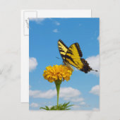 タイガーアゲハチョウ蝶の花 ポストカード (正面/裏面)