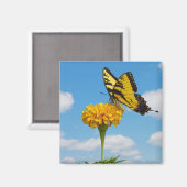 タイガーアゲハチョウ蝶の花 マグネット (正面/裏面)