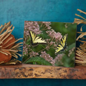 タイガーアゲハチョウ蝶オンジョーパイウィード フォトプラーク (側面)