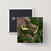 タイガーアゲハチョウ蝶オンジョーパイウィード 缶バッジ (正面&裏面)