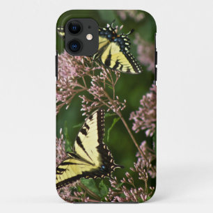 タイガーアゲハチョウ蝶オンジョーパイウィード iPhone 11 ケース